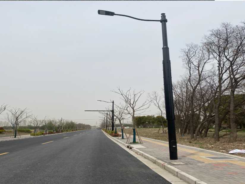 镇巴县上海综合杆 太阳能路灯工程